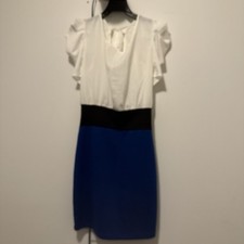 Windsor Women's Bodycon Dress