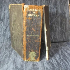 Book of Botany by Alphonso Wood, 1867, Hardcover, 832 Pages