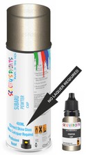 Subaru Pewter C6P Spray Aerosol Paint No Lacquer Required