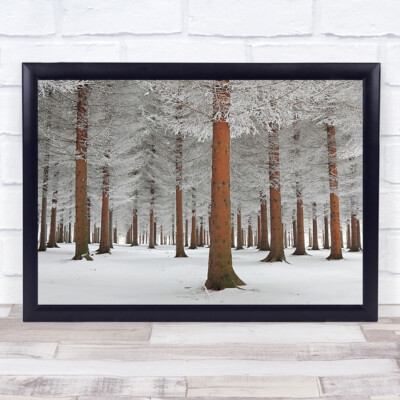 Magischer Wald Schnee Eis Nebel weißer Baum Bäume Nebel Wälder Wandkunstdruck