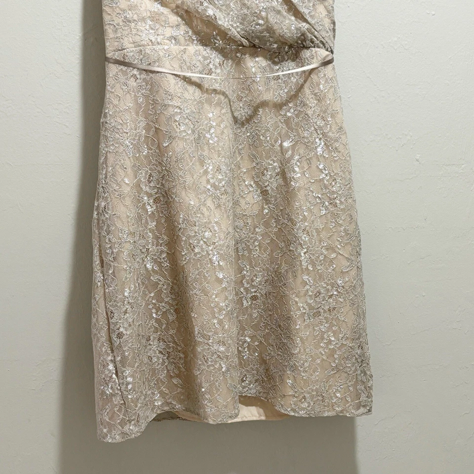 Vestido Formal ALVINA VALENTA MAIDS Para Mujer Beige Plateado Encaje Superpuesto Sin Tirantes 14 Foto 3 de 4