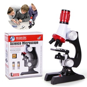 scientific toys for adults