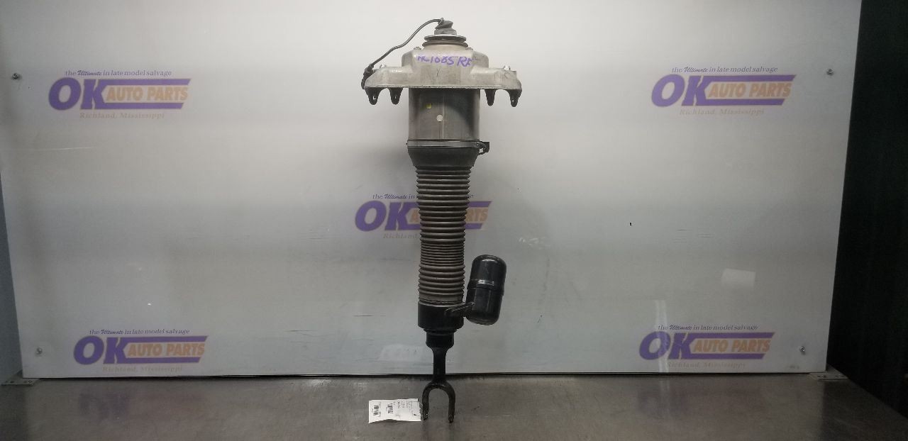 Bentley Continental GT FRONT+RIGHT Air suspension strut P/N 3W7616040L