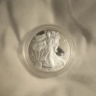U.S. Mint American Eagle 2011 1 oz 0.999 Fine Silver $1 Coin Uncertified