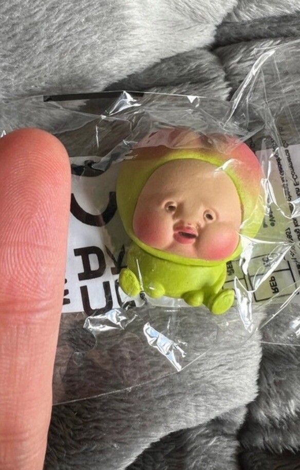 Fruta verde fea japonesa Kobito de Japón