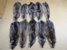 Professionally Tanned #1 XL Muskrat Hide/Furs/Taxidermy/Crafts/Real USA Furs