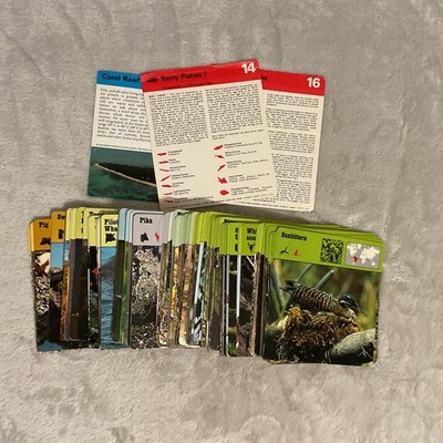 Vintage Animal Cards Lot 227 Wildlife Nature Homeschool Editions Rencontre 1975