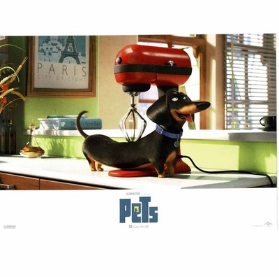 Pets - Jenny Slate - Kevin Hart - Albert Brooks - 2 Aushangfotos - 21x29cm (802)