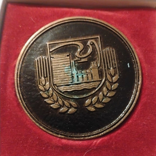 DDR Medaille SED Kreisleitung Eisenhüttenstadt im Etui