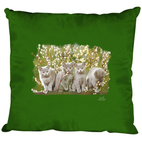 Cuscino decorativo con imbottitura 40x40 cm stampa fila gatti 4 gatti KA085 verde - Foto 1 di 1