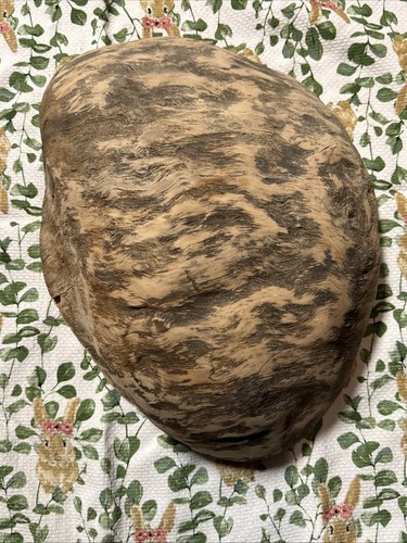 White Oak Knot Burl Crafts Turning Completely Solid! - Picture 2 of 11