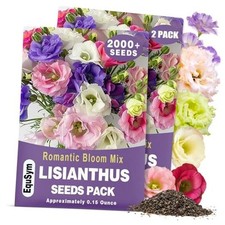 2000 Lisianthus Seeds for Planting - 2 Pack Mixed Color Perennial Eustoma