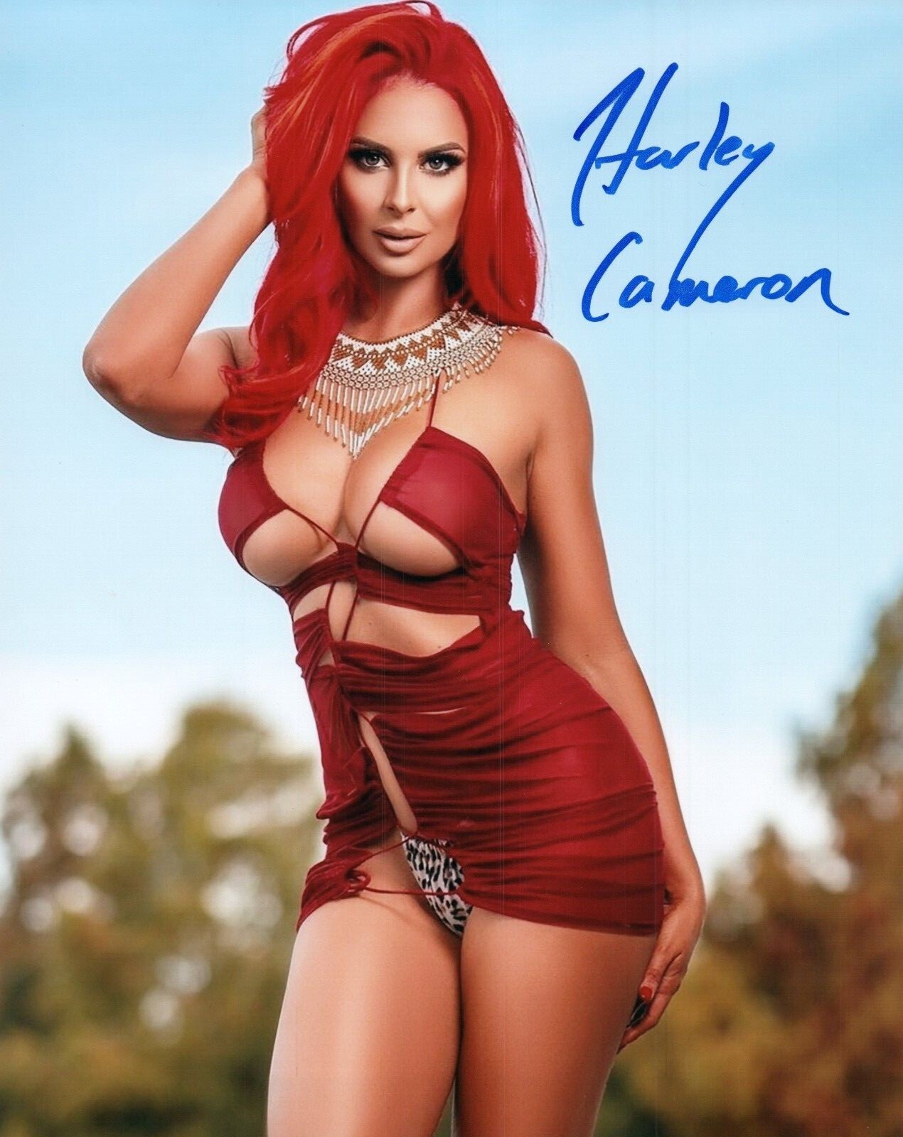 Harley Cameron Signed 8x10 Photo #13 WWE NXT Knockout Girls | eBay