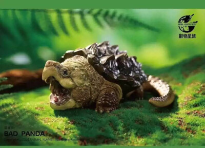 Animal Planet Animal Heavenly Body Alligator Snapping Turtle Set