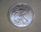 2013  SILVER EAGLE IN BRILLIANT UNCIRCULATED