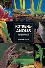 Rotkehlanolis im Terrarium von Ray Hunziker | Buch | Zustand sehr gut
