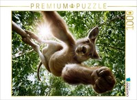 Calvendo Puzzle Rainforest Kangaroo | 1000 Pieces, Finished Size 25.2 × 18.9 In
