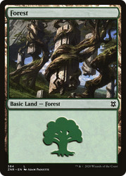 Forest #384 - Zendikar Rising
