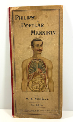  RARE Antique Philip s Popular Mannikin Human Anatomy Flap Book W.S. Furneaux 18