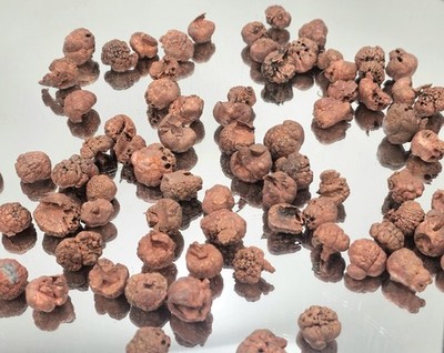 Small Natural Copper Nugget
