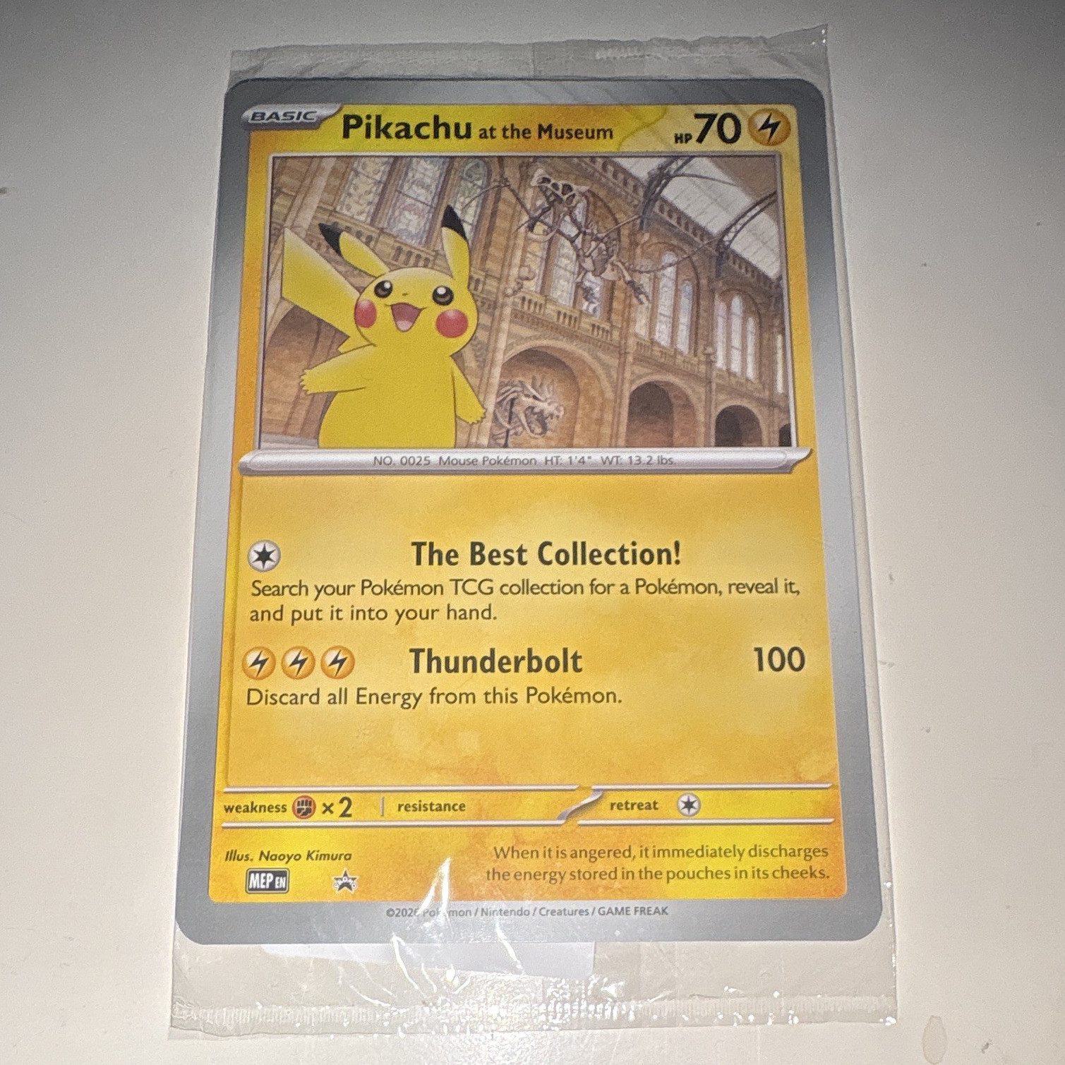 Pokémon Company Pikachu at the Museum Promo Card English Pokémon TCG Promo Jumbo