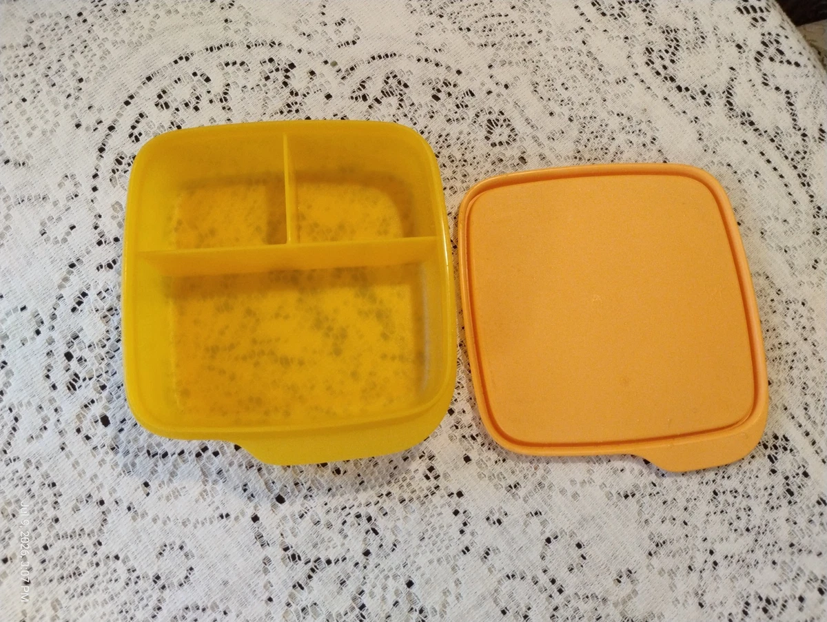 Plastic Containers Collectible 1970-1979 Time Period Manufactured
