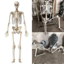 Halloween Full Body Skeleton Life Size Human with Movable Joint Yard Decor