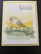 Stampin Up Card Kit Set Of 4 "You Are One Of A Kind Yellow Tines Bird