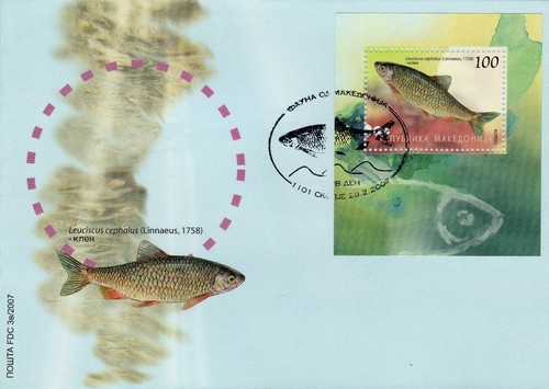 Republic of North Macedonia/2007/FDC/Animals/Fish - Picture 2 of 3
