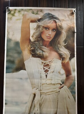 Susan Anton Poster Door poster 24 x 72 inches - 1979 | eBay