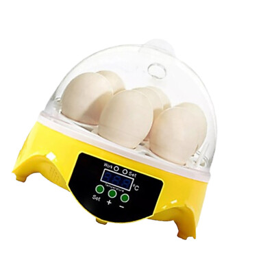 7 Eggs Digital Incubator for Birds Chicken Duck Goose Quail Hatcher|Family Gift