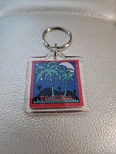 Vintage Florida Acrylic Palm Tree Tropical Keychain souvenir Collectable 