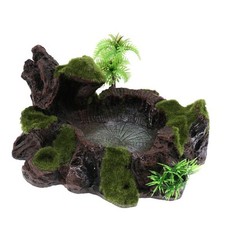 Rock Bowl Dish Feeder Plant Decor for Terrarium Reptile Tank