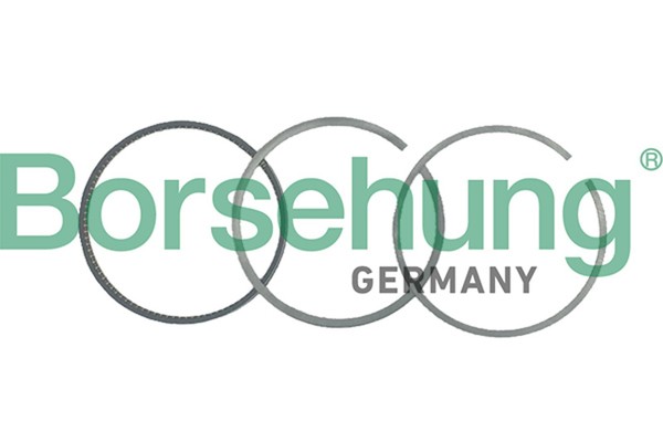 Borsehung Kolbenringsatz B19045 FüR Scirocco 137 Golf VW 1K2 5K1 Jetta 138 6 3 5-image
