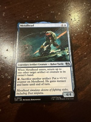 Metalhead Teenage Mutant Ninja Turtles Regular
