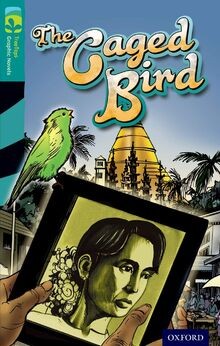 Oxford Reading Tree TreeTops Graphic Novels: Level ... | Buch | Zustand sehr gut