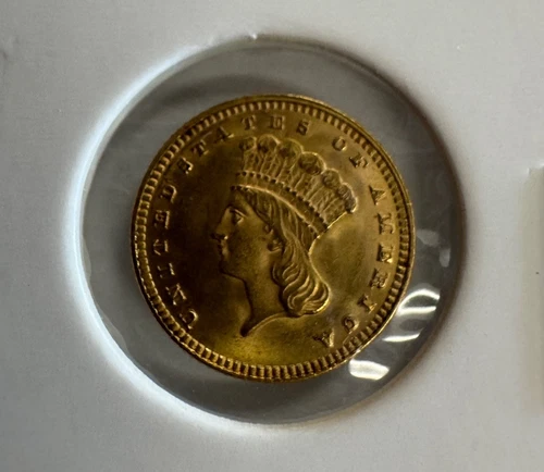 1889 Indian Princess Large Head Gold Dollar UNC High Grade ! Mint Luster!