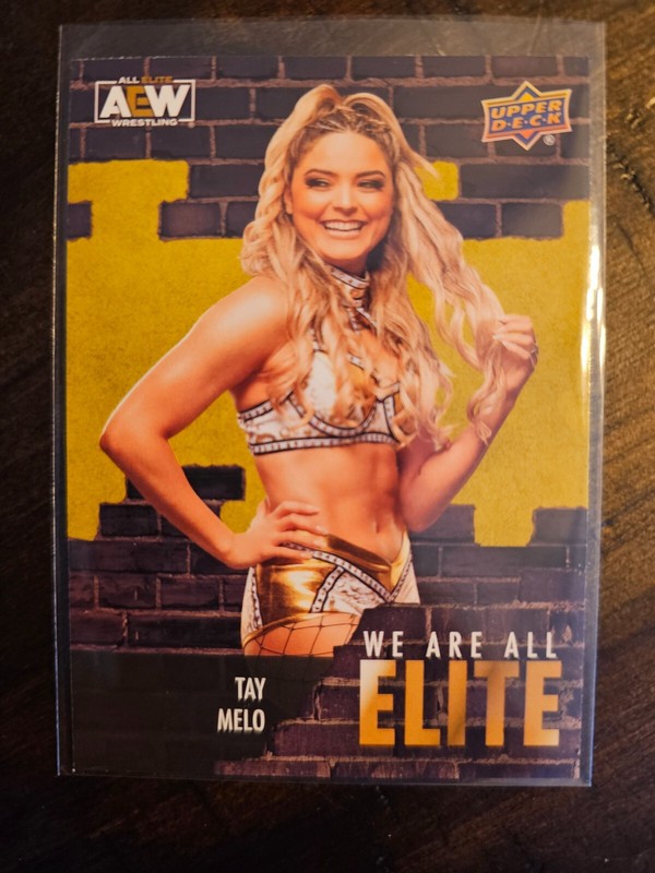 2023 Upper Deck Tay Melo We Are All Elite #AE-35