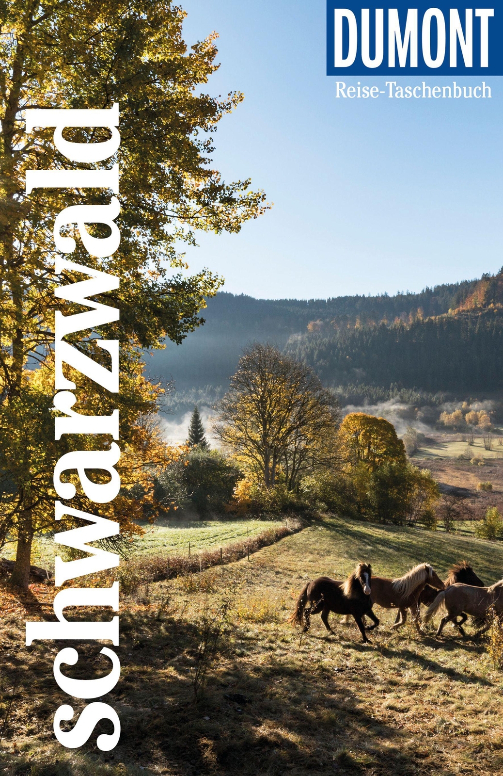 Thumbnail - Dumont Reise-taschenbuch Schwarzwald Muriel Brunswig