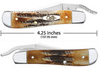Case xx 65303 Russlock 6.5 Bone stag Handle Pocket Knife Honey and amber — photo 2