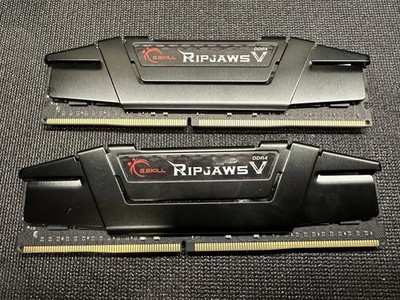 G. SKILL Ripjaws V Series 32GB (2 x 16GB) PC4-32000 (DDR4-4000) Memory...