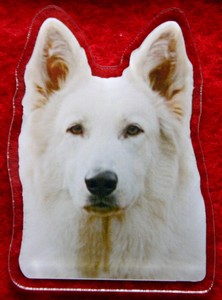 Détails Sur Magnet Aimant Chien Berger Blanc Suisse 2 Dog Magnets Imanes Perro Magneten Hund