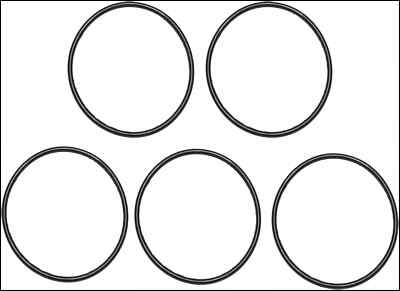 Victa Primer O Ring X5 - Suits G4 Carburetor CARBY - Foto 13