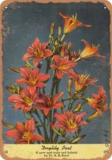 METAL SIGN - Pennsylvania Postcard - Daylily Port, anew and truly red hybrid by