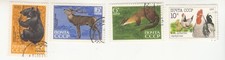 Russia 1970. Fauna of Sikhote-Alin Nature Reserve. Bear, marten, deer + chicken