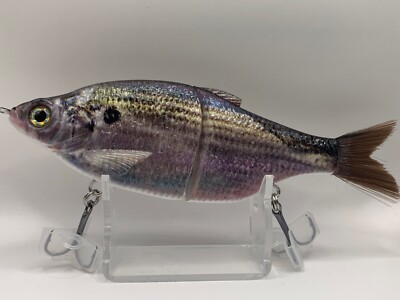 TYG Shad Glide bait swimbait custom 7 inch Gumdrop Shad NEW KGB