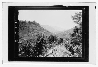 Photo:Beit ed-Din Lebanon 1920s Shehab Palace Terraced Wooded Valley