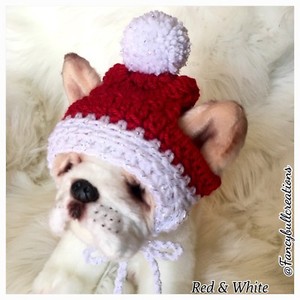 small dog beanie
