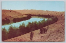 All American Canal Irrigation in Southeastern California, Vintage Postcard