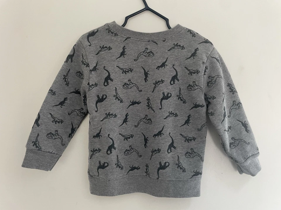Sudadera Pullover Gris 2T Garanimals Niño Pequeño Estampado Dinosaurio Polar Foto 3 de 4